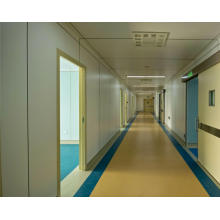 Indoor Fireproof Grade a Anti-Bacterial Non-Combustible Wall Panels for Hospitial